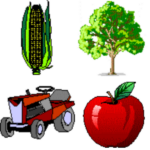 Landwirtschaft / Obstbau